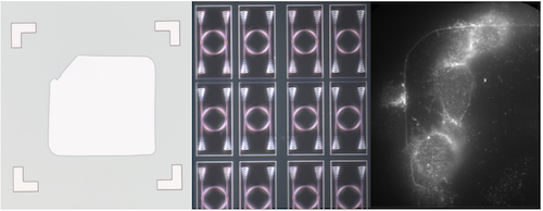 Direct-bonded diamond membranes for heterogeneous quantum and electronic technologies
