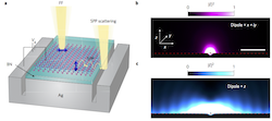 Probing dark excitons in atomically thin semiconductors via near-field coupling to surface plasmon polaritons