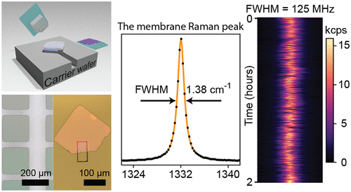 Tunable and Transferable Diamond Membranes for Integrated Quantum Technologies