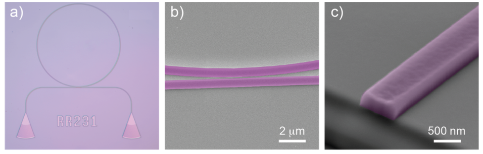 Silicon‐On‐Silicon Carbide Platform for Integrated Photonics